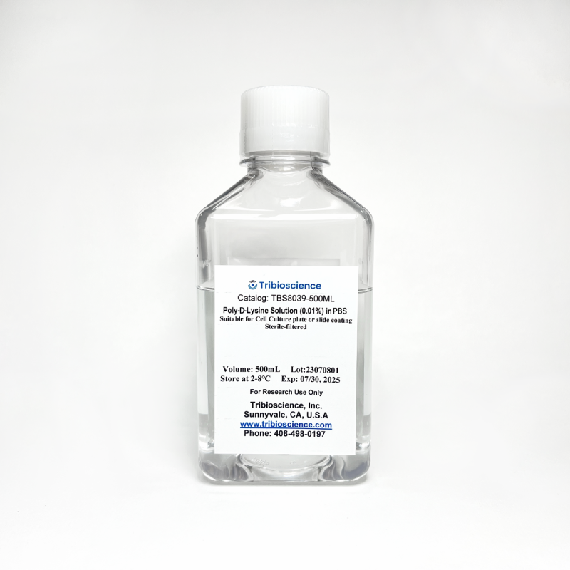 Poly-D-Lysine Solution (0.01%) in PBS, Ready to Use