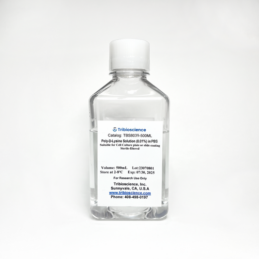 Poly-D-Lysine Solution (0.01%) in PBS, Ready to Use