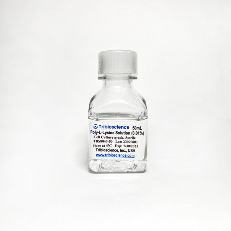 Poly-L-Lysine Solution (0.01%) in PBS, Ready to Use