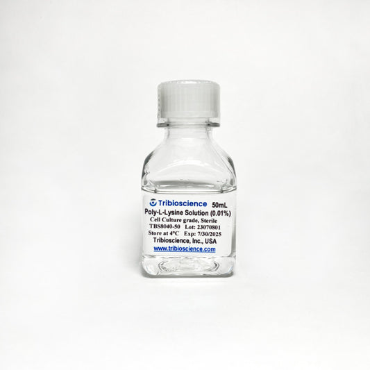 Poly-L-Lysine Solution (0.01%) in PBS, Ready to Use