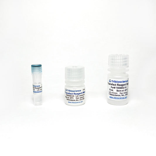 Transfect Reagent Maxi