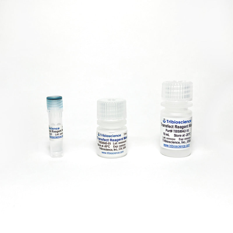 Transfect Reagent Maxi