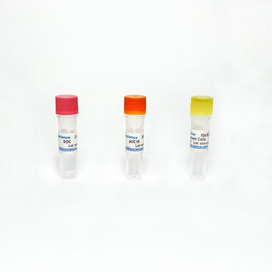 BL21 Competent Cell (10x 50uL), > 10 ^9