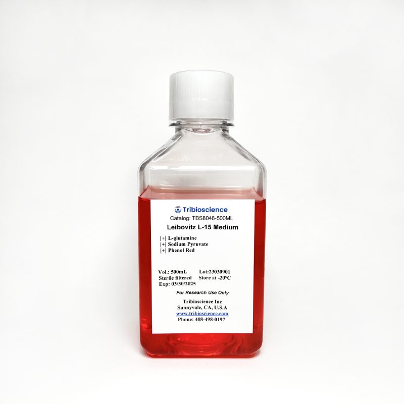 Leibovitz L-15 Medium