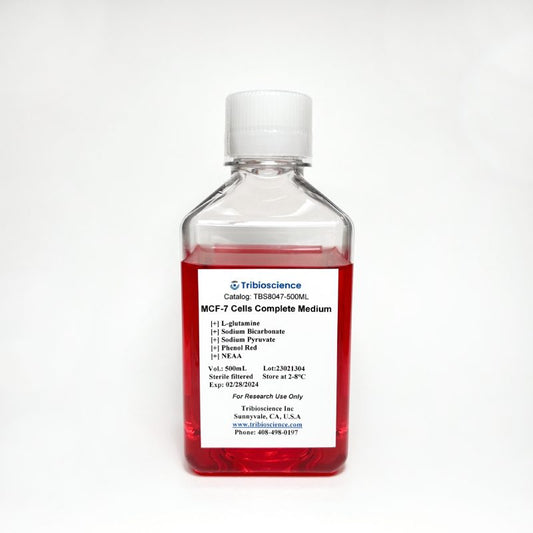 MCF-7 Cell Complete Medium
