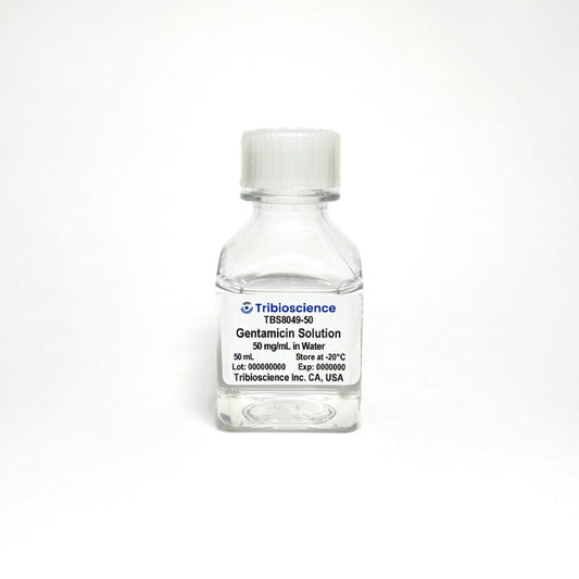 Gentamicin Solution, 100mg/mL