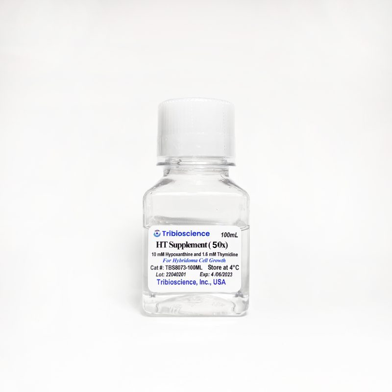 Hypoxanthine-Thymidine (HT) Supplement (50x) for Hybridoma Cell growth