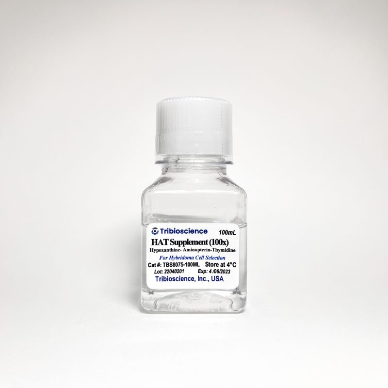 Hypoxanthine-Aminopterin-Thymidine (HAT) Supplement (50x) for Hybridoma Cell Selection