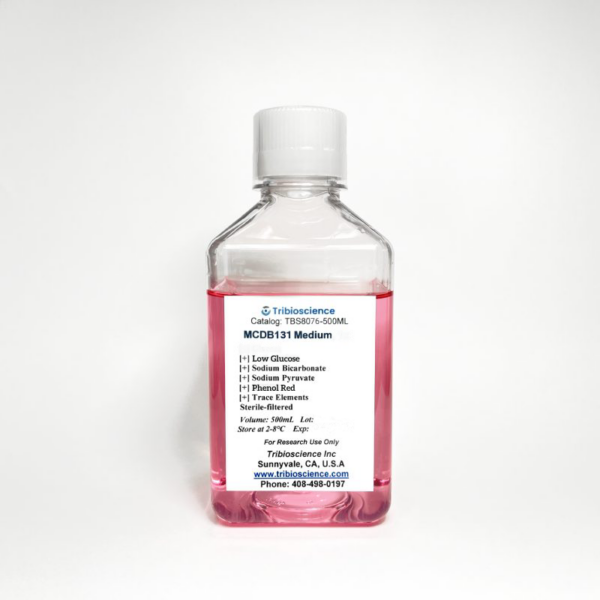 MCDB 131 Medium with Low Glucose, Sodium Pyruvate, and phenol red