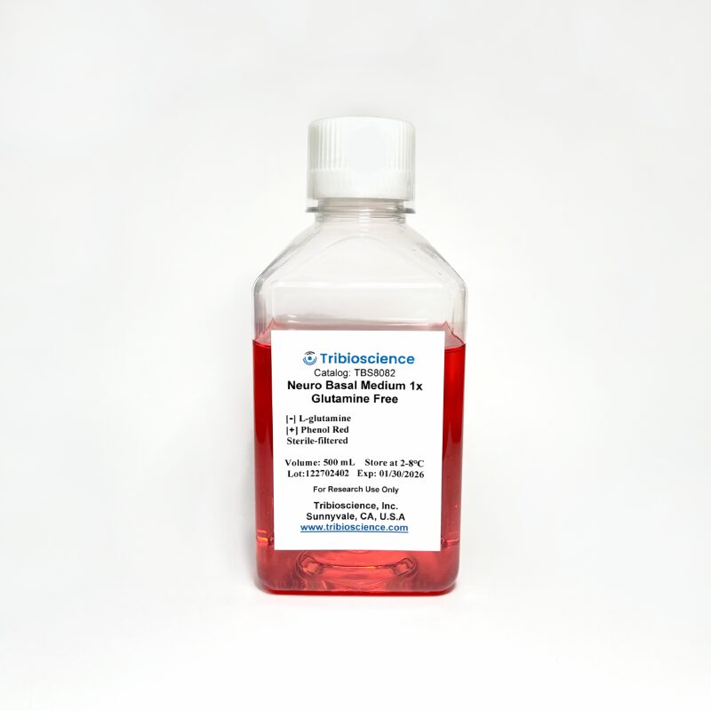 Neurobasal Plus Medium