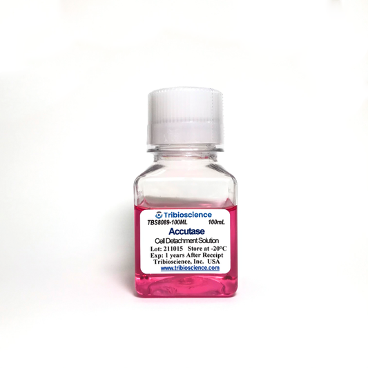 Accutase Cell Detachment Solution