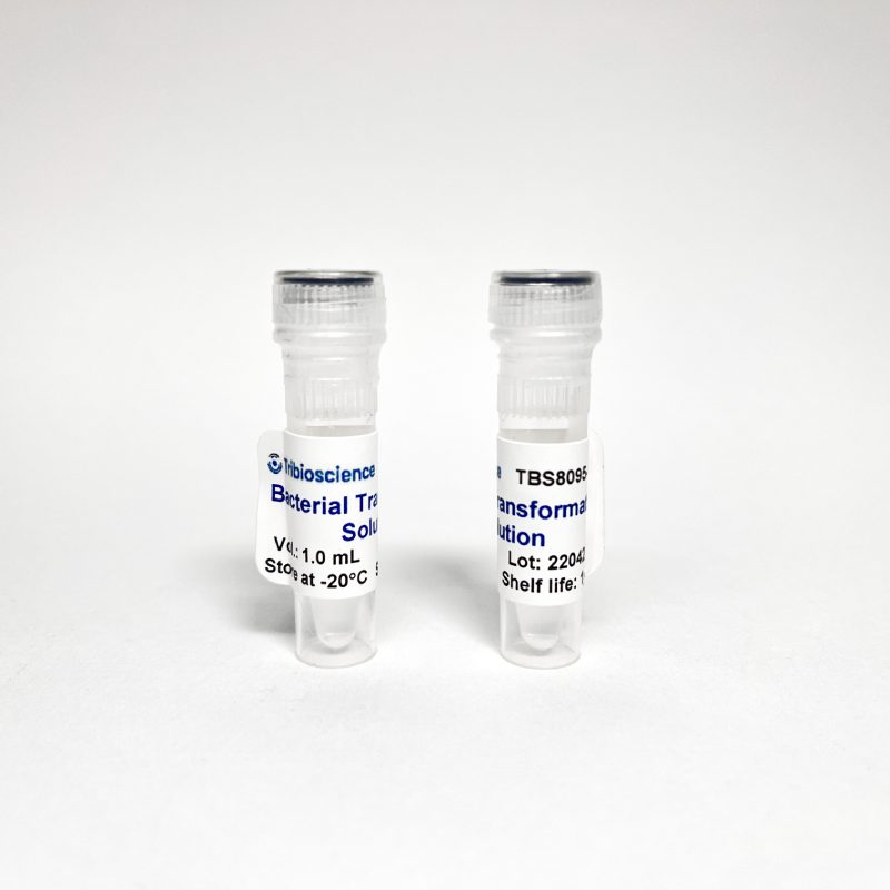 Bacterial Transformation Buffer