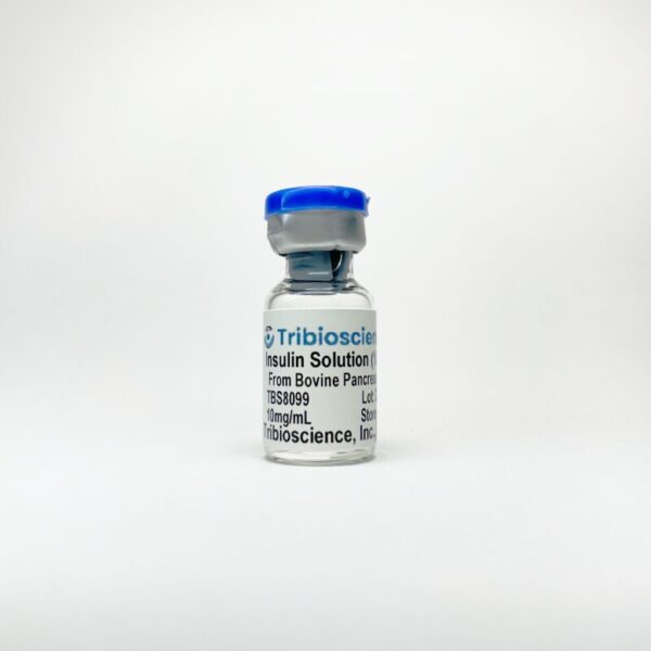 Insulin Solution from Bovine Pancreas For Cell Culture
