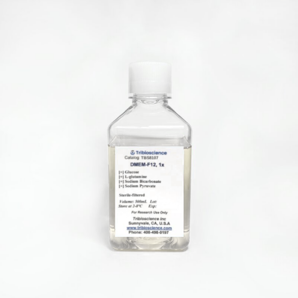 DMEM/F-12 Medium, no phenol red