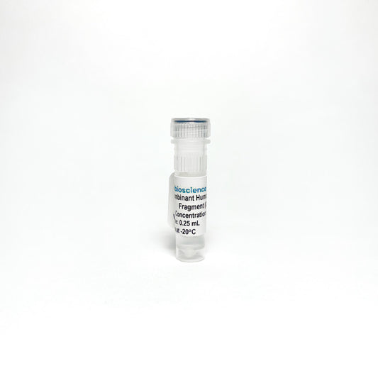 Recombinant Human Fibronectin Fragment