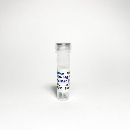Anti-His-Tag Human Chimeric Monoclonal Antibody