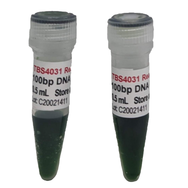Ready-to- use 100bp DNA ladder