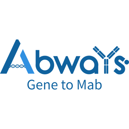 Mucin 5B Ab