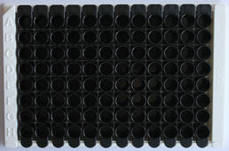 Magnetic Luminex Assay Kit for Surfactant Protein B (SP-B) ,etc.