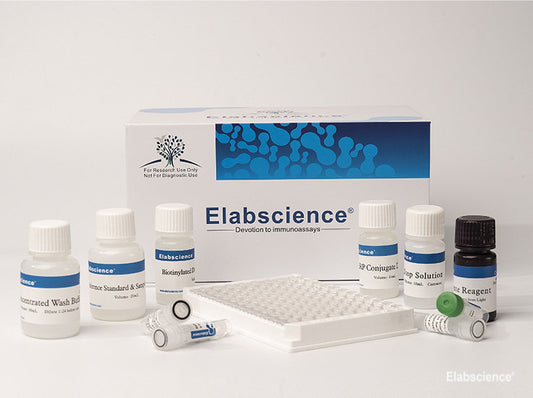 Human C-P(C-Peptide) ELISA Kit
