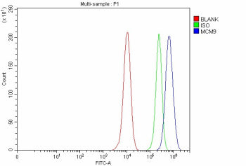 Flow Cytometry analysis of MCF-7 cells using anti-MCM9 antibody. Overlay histogram showing MCF-7 cel