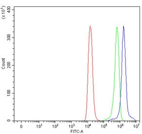 BST2 Antibody / Tetherin