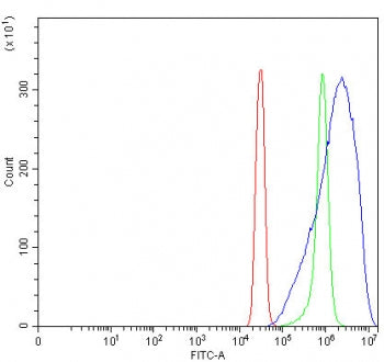 Flow cytometry testing of fixed and permeabilized human SiHa cells with PPP2R5B antibody at 1ug/mill
