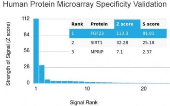 FGF-23 Antibody / Fibroblast Growth Factor 23