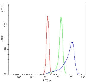 Flow cytometry testing of human ThP-1 cells with WNT7B antibody at 1ug/million cells (blocked with g