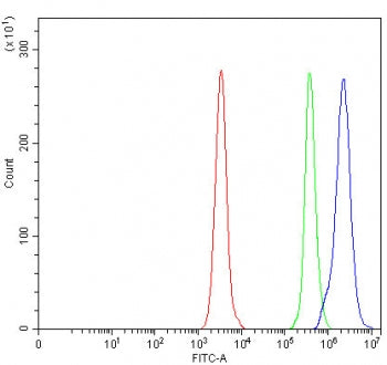 OGFOD2 Antibody