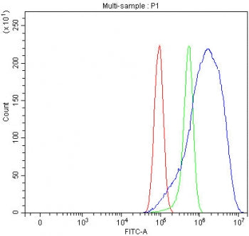 SERINC5 Antibody / Serine incorporator 5