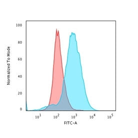 CD28 Antibody