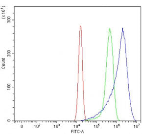 Flow cytometry testing of human U-2 OS cells with STX6 antibody at 1ug/million cells (blocked with g