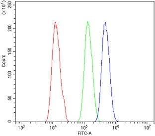 Flow cytometry testing of human A431 cells with PAX4 antibody at 1ug/million cells (blocked with goa