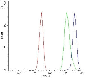 Chromogranin A Antibody