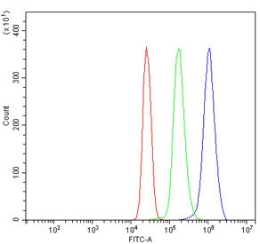 TNF Receptor I Antibody / TNFR1 / TNFRSF1A
