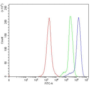 Flow cytometry testing of human Jurkat cells with DNAM-1 antibody at 1ug/million cells (blocked with