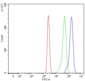 ENTR1 Antibody / SDCCAG3