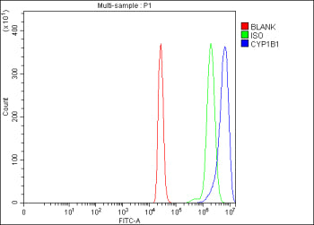 Flow Cytometry analysis of THP-1 cells using anti-CYP1B1 antibody. Overlay histogram showing THP-1 c