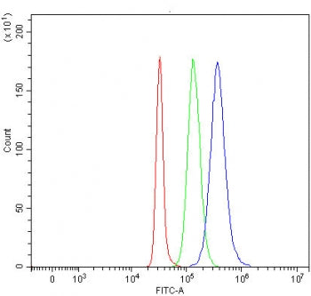 TSC22D1 Antibody / TSC22 domain family protein 1