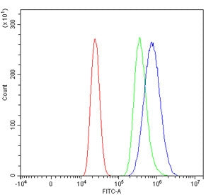 Flow cytometry testing of mouse RAW264.7 cells with Fcgr3 antibody at 1ug/million cells (blocked wit