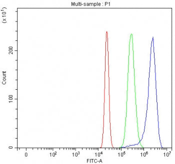 TSPY1/2/3/4 Antibody