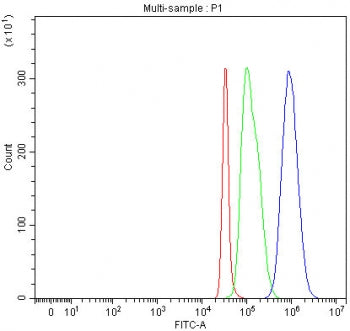Flow cytometry testing of fixed and permeabilized human SH-SY5Y cells with PCDHA8 antibody at 1ug/mi