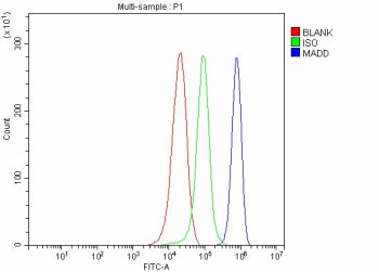 Flow Cytometry analysis of Hela cells using anti-MADD antibody. Overlay histogram showing Hela cells