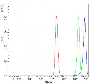 Flow cytometry testing of fixed and permeabilized human MCF7 cells with NECAB2 antibody at 1ug/milli