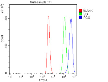 Flow Cytometry analysis of HEL cells using anti-IRGQ antibody. Overlay histogram showing HEL cells s