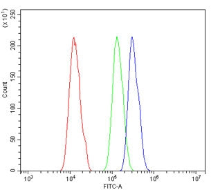 Flow cytometry testing of human A431 cells with SOX-3 antibody at 1ug/million cells (blocked with go