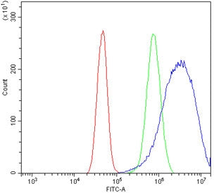Flow cytometry testing of human A431 cells with BTG2 antibody at 1ug/million cells (blocked with goa