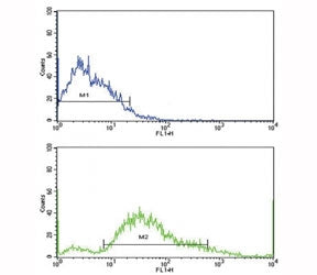 Flow cytometric analysis of SK-Br-3 cells using PDGFR beta antibody (bottom histogram) compared to a
