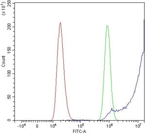 BRD4 Antibody